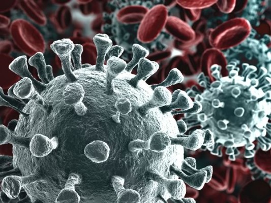 Linee guida per contrastare la diffusione del Coronavirus